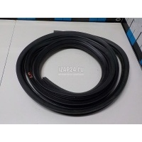 Уплотнитель двери GM Trail Blazer (2001 - 2010) 19168171