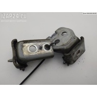 Петля двери передней левой Peugeot 3008 2010 00009035CC, 00009035CA