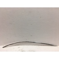 Молдинг двери BMW F10 51338049196