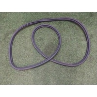 уплотнитель двери BMW X6 G06 2021 51769465545, 7437779