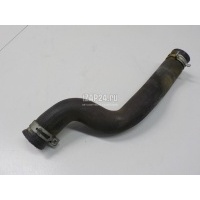 Патрубок радиатора Citroen-Peugeot Xsara Picasso (1999 - 2010) 1343AT