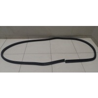 Уплотнитель (внутри) FORD Focus II 2005-2008 1534918