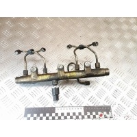 топливная рампа Fiat Scudo 2001 0445214019,96373106,96386986,9637310680,K9637310680