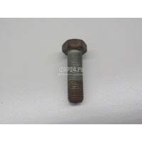 Болт переднего рычага Nissan X-Trail (T31) (2007 - 2014) 54459EN00D