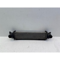 Интеркулер Exeed TXL 1 2020- 302000507AA