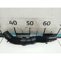 Патрубок Land Rover Range Rover Sport (2005 - 2012) LR008202