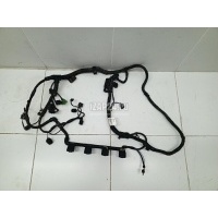Проводка (коса) VAG Tiguan (2007 - 2011) 06J971595E