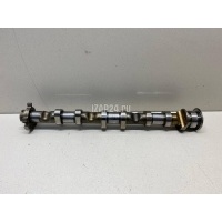 Распредвал впускной VAG Allroad quattro (2006 - 2012) 06E109101BD