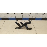 Кронштейн (сопут. товар) RENAULT Duster 2012> 243562645R
