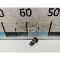 Болт полый Iveco Daily (1999 - 2006) 10184417