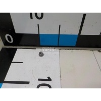 Гайка Renault Duster 2012 7703034257