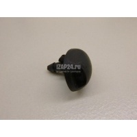 Форсунка омывателя лобового стекла Renault Sandero 2014 289307214R