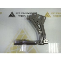 Петля капота Omoda C5 T19C 2022-2024 553000320aadyj
