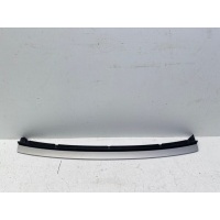 Накладка замка капота Exeed RX T22 2022- 602002488AA