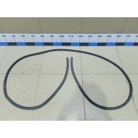 Уплотнитель двери FORD Focus II 2005-2008 1495865