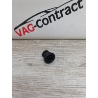 Пробка поддона сливная Audi A4 B9 06L103801