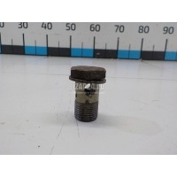 Болт полый Scania 3 R series (1988 - 1997) 812394
