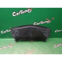 Защита бампера Mercedes-Benz CLS W219 2005 A2195240130