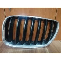 Почка решетка левая bmw x5 e53 7113733