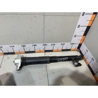 Амортизатор задний Exeed RX (T22) 2023- 202001086AA