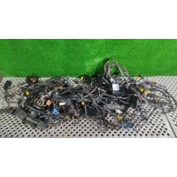 Проводка салона Volkswagen Passat B6 2007 3C9 971 650 FA, 3C9 971 148 M