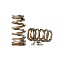 Мос i блюдца kelford cams nissan vr38dett