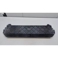 Кронштейн радиатора BMW X5 E70 (2007 - 2013) 17117795909
