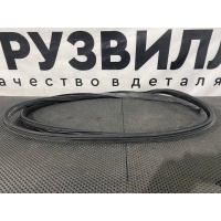 уплотнитель двери Renault 7484506666 7484506666