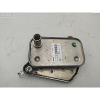 Теплообменник Mercedes W211 (E) 2007 6461880301