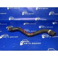патрубок радиатора FORD FOCUS CB8 1761862