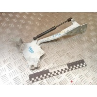 Петля капота левая Renault Scenic 3 2013 654700008R,654010004RK
