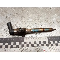 Форсунка Renault Modus 2006 166009445R,8200294788,8200380253,8200842205,1660000Q0H,1660000Q0P,1660000Q1T,A2C59511606