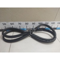 Уплотнитель (внутри) Renault Megane III (2009 - 2016) 808320004R