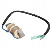 Катушка зажигания parsun f8 - 05000300