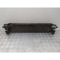 Интеркулер Renault Koleos (2008-2011) 2008 14461JG70B