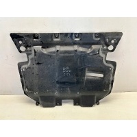 Защита двигателя металлическая опора мерседес amg w238 e53 213 238 a2135246500