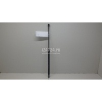 Амортизатор капота VAG A3 [8V] (2013 - 2020) 8V0823359A