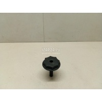 Болт крепления запасного колеса VAG A4 [B9] 2015 8W9863695A