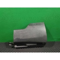 Заглушка в порог Volkswagen Passat B6 2008 3C0 853 897