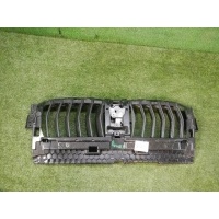 Решетка радиатора BMW 4er G22 (2020-н.в.) Bmw Параметр: Модель 2020 51745A1E914