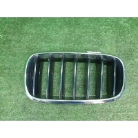 Решетка радиатора левая BMW X5 F15 X6 F16 (2013-2018) Bmw Параметр: Модель 2013 51137316061