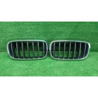 Решетка радиатора Комплект BMW X5 F15 X6 F16 (2013-2018) Bmw Параметр: Модель 2013 51137316061
