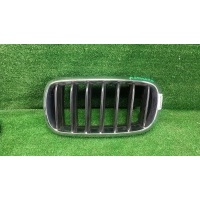 Решетка радиатора левая BMW X5 F15 X6 F16 (2013-2018) Bmw Параметр: Модель 2013 51137316061