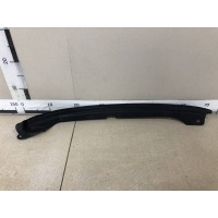 Пыльник (кузов наружные) Volvo Volvo S60 (FS, FH) 2010> 31299956
