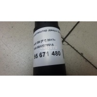 Амортизатор двери багажника VAG Q5 [80A] 2017 80A827851A
