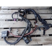 Проводка двигателя Opel Signum 2004 55350559