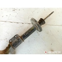амортизатор передний Chevrolet Corsa 2 2007 22118285,90496081,4343264