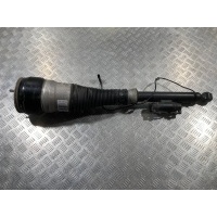 Пневмостойка задняя левая Mercedes S W222 2014 A2223200313,A2223250019