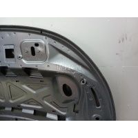 Капот Land Rover Range Rover Evoque 2019 LR117302