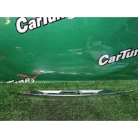 Планка подсветки номера Mercedes-Benz CLS W219 2006 A2197580002